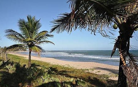Imagem de Iniciativa ambiental na praia de Guarajuba acontece neste sábado (11)